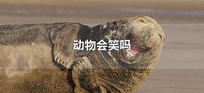 动物会笑吗 动物会笑吗