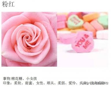 粉红色代表什么(服装色彩的蕴意——粉红色)