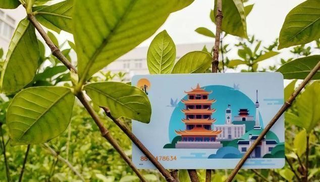 武汉生活最实用一张卡片:连通12大领域8座城市,仍然只是交通卡