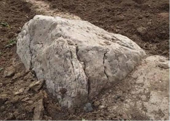 世界上最“矮”的山,平均高度只有0.6米,至今无人成功攀登