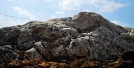 世界上最“矮”的山,平均高度只有0.6米,至今无人成功攀登