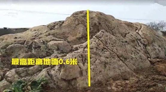 世界上最“矮”的山,平均高度只有0.6米,至今无人成功攀登