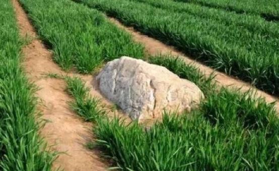 世界上最“矮”的山,平均高度只有0.6米,至今无人成功攀登