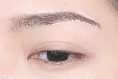 鼻影怎么画好看图解 鼻影的画法步骤