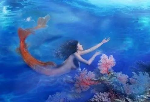 世界上真实的有美人鱼吗（海洋中真的存在美人鱼吗）(2)
