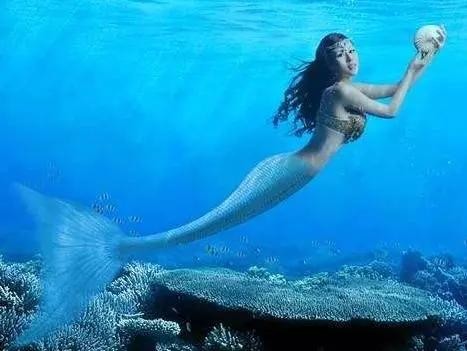 世界上真实的有美人鱼吗（海洋中真的存在美人鱼吗）(1)