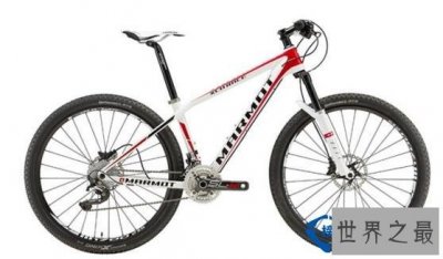 ​世界自行车品牌排行榜 全球最贵自行车品牌top10