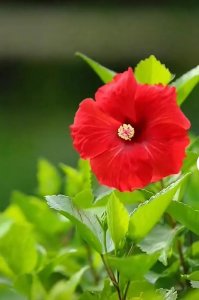 抖音容易上热门的句子(抖音积极阳光的句子)