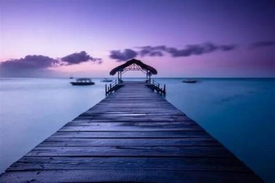 最感人一句话是什么(最动情的句子最感人的话)