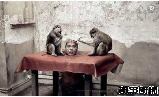 中国十大禁菜(猴头也是中国十大禁菜之一)(6)_