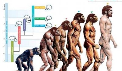 ​人类从何而来 人类被外星人流搁到地球（搜集流言）