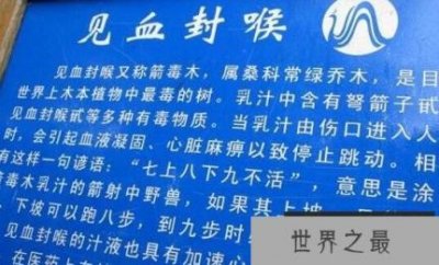 ​世界上最毒的树，见血封喉树