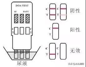 吸了毒品到底是什么感觉(如果被动吸食了毒品)(6)