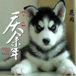 张若昀官宣最新消息(张若昀小范公子回应打唇钉)(3)