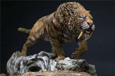 巨剑齿虎:剑齿家族中的小个子(出现在600万年前)