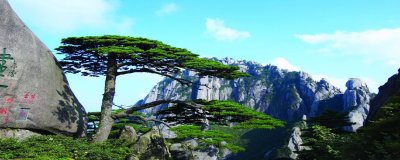 中国四大名山是哪四个(中国著名的四大名山分别在哪里)