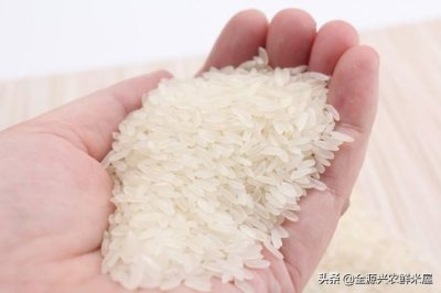 市场上的米都是假的?看看专家怎么说