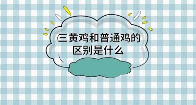 三黄鸡和普通鸡有什么区别?三黄鸡的营养价值是什么?