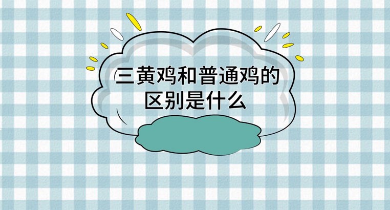 三黄鸡和普通鸡有什么区别?三黄鸡的营养价值是什么?