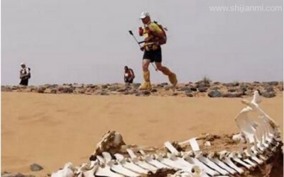 意大利死亡谷之谜 专门夺取动物生命(动物的墓场)