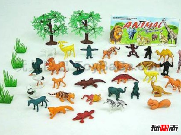 排名前10最通人情的动物 鹦鹉排第六,第三智商堪比三岁婴儿