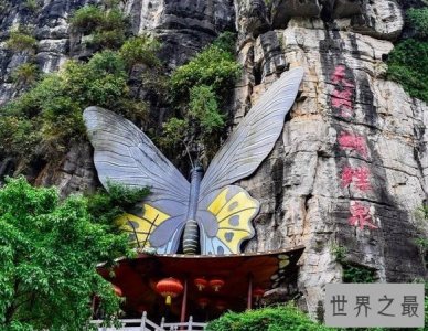 ​中国最美蝴蝶泉，成千上万的蝴蝶来赴会