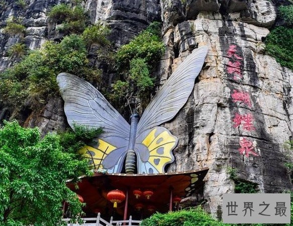 中国最美蝴蝶泉,成千上万的蝴蝶来赴会