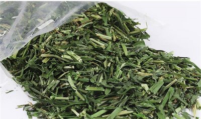 ​大麦草和小麦草的辨别有哪些 外表以及功能都没有共