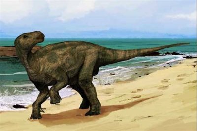 ​卡洛夫龙:喜欢在潮湿温暖地区生活（沼泽地也能看到）