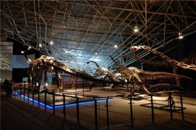 ​比斯提消灭龙：一种体型伟大的恐龙典型