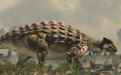 ​世界上身体最宽的恐龙 甲龙体宽2~5米(身高一米)