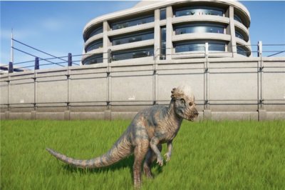 ​结头龙：体型小的陈旧生物（体态形态上有些特别之处）