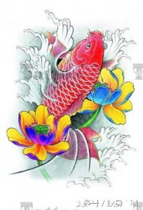 遮盖纹身万能用图——鲤鱼