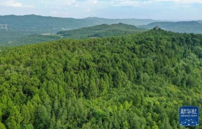 剑门蜀道翠云廊 跨越千年 苍翠如昔