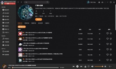 熊猫DJ串烧音乐网