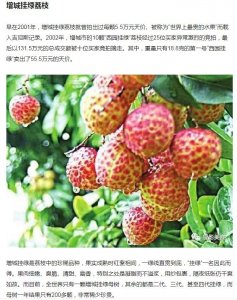 玉带林中挂,关系林黛玉的死,但不是上吊