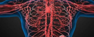 比较人体三大供能系统的特点 人体的三大供能系统