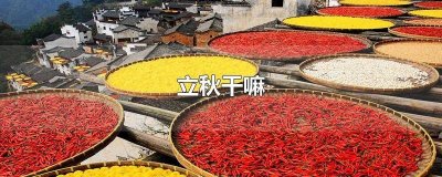 立秋一般干什么 立秋要干什么