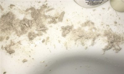 ​棉被晒多久能杀死螨虫 暴晒2-3小时（胜过50度螨虫牺牲）