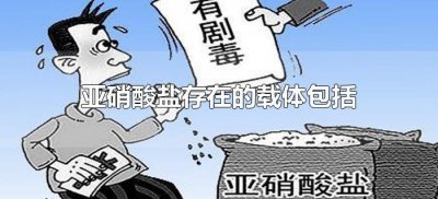 亚硝酸盐存在的载体包括(亚硝酸盐存在的载体包括哪些)