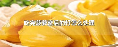 吃完菠萝蜜后的籽怎么处理
