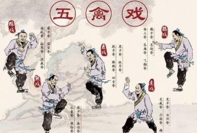 ​华佗五禽戏是哪五禽 经过模拟虎鹿熊猿鸟的举措不妨养生