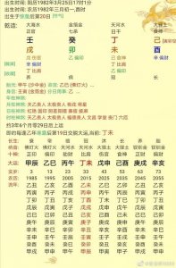 壬寅是什么意思(壬寅的意思)