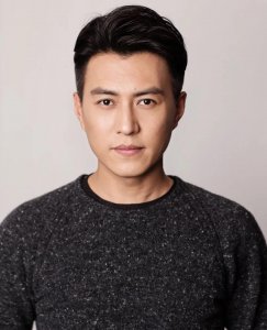 靳东个人资料 简介(演员靳东任中国煤矿文工团副团长)