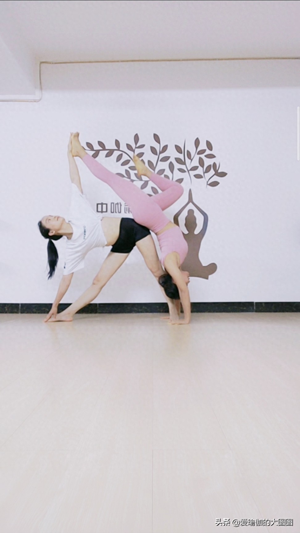 双人瑜伽体式合集,送给喜欢拍照的你