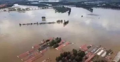 山东寿光洪水仍未退尽!被淹村庄水深处能到腰部