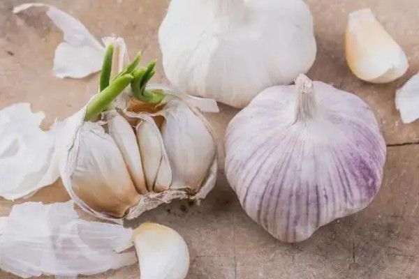 鬼上身怎么办，鸡血点额头(封建迷信不可信)