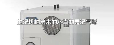 抽湿机抽出来的水真的是湿气吗