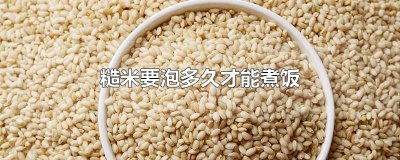 糙米要泡多久才能煮饭
