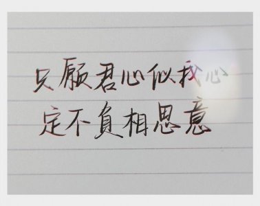 定不负相思意什么意思(定不负相思意是什么意思)